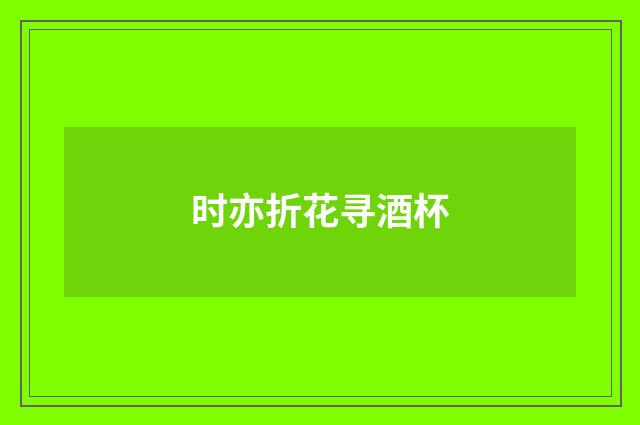 时亦折花寻酒杯