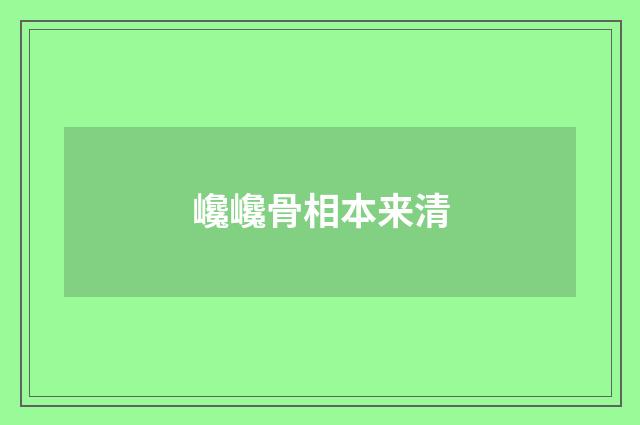 巉巉骨相本来清