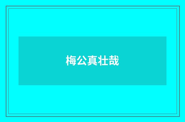 梅公真壮哉