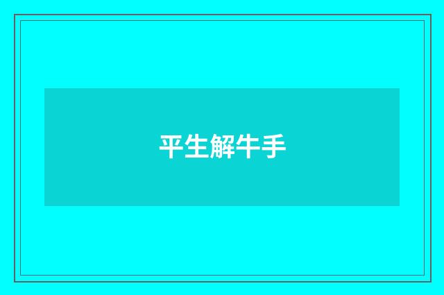 平生解牛手