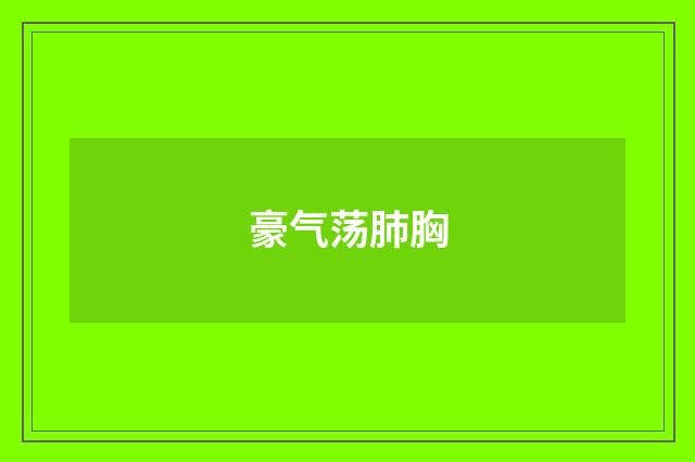 豪气荡肺胸