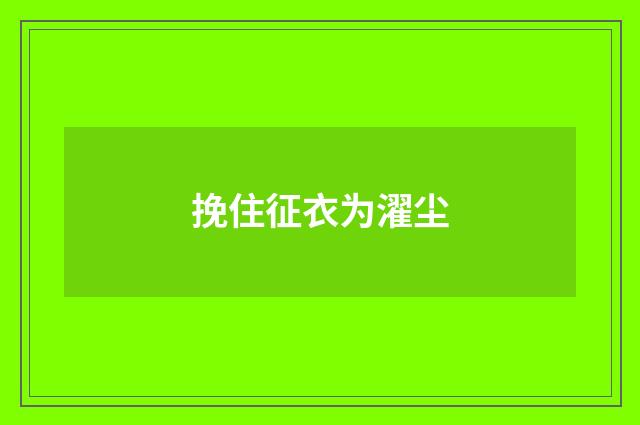 挽住征衣为濯尘