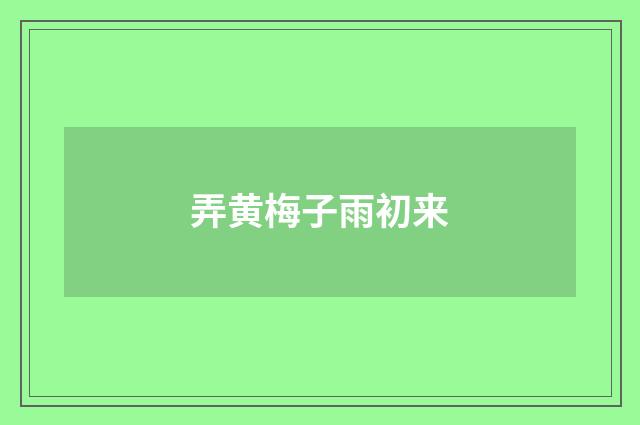 弄黄梅子雨初来