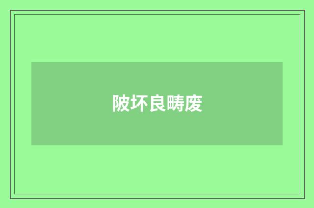 陂坏良畴废