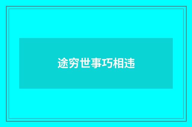 途穷世事巧相违