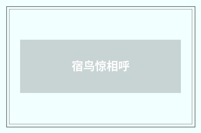 宿鸟惊相呼