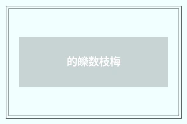 的皪数枝梅