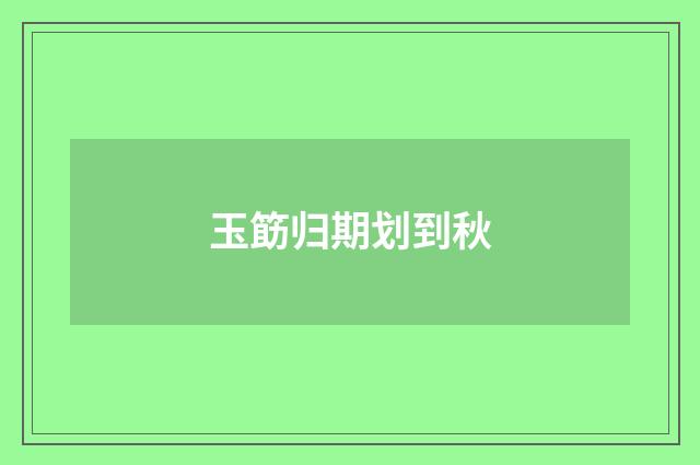 玉筯归期划到秋