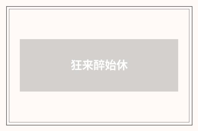 狂来醉始休