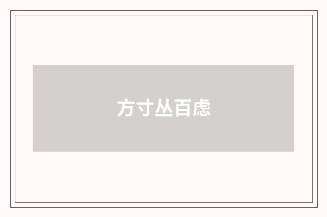 方寸丛百虑