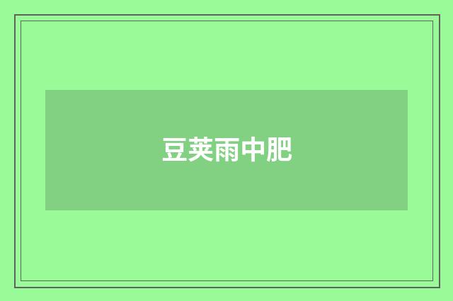 豆荚雨中肥