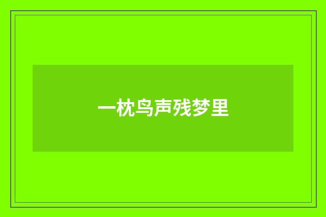 一枕鸟声残梦里