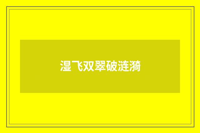 湿飞双翠破涟漪