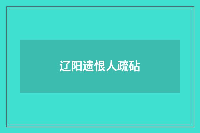 辽阳遗恨人疏砧