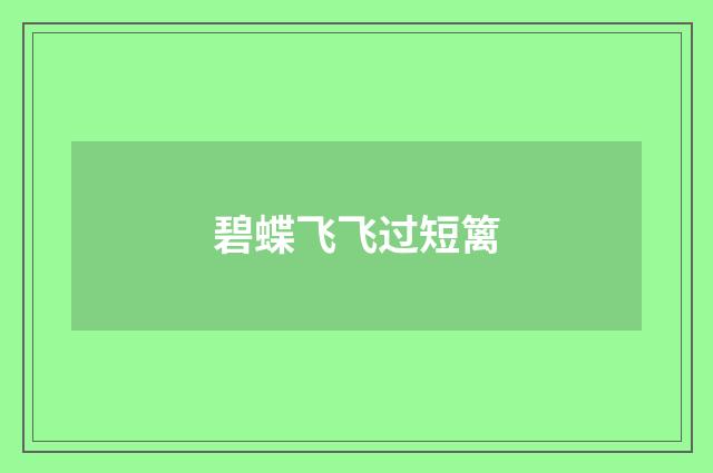 碧蝶飞飞过短篱
