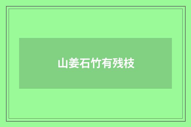 山姜石竹有残枝