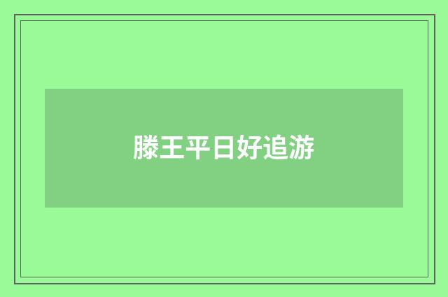滕王平日好追游