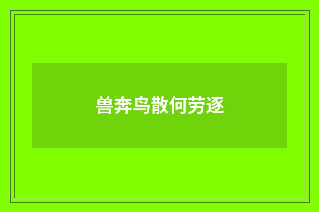 兽奔鸟散何劳逐