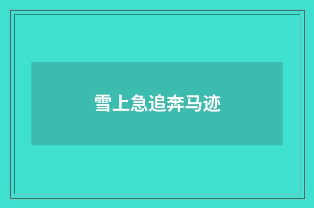 雪上急追奔马迹