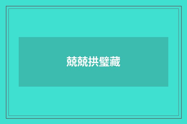 兢兢拱璧藏