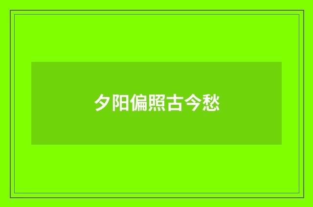 夕阳偏照古今愁