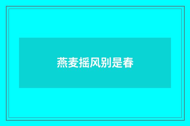 燕麦摇风别是春