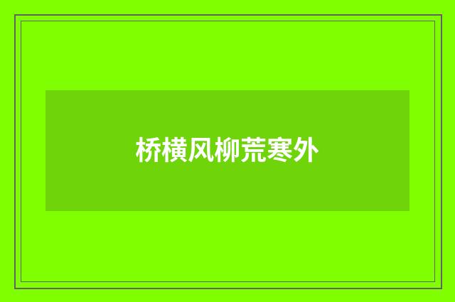 桥横风柳荒寒外