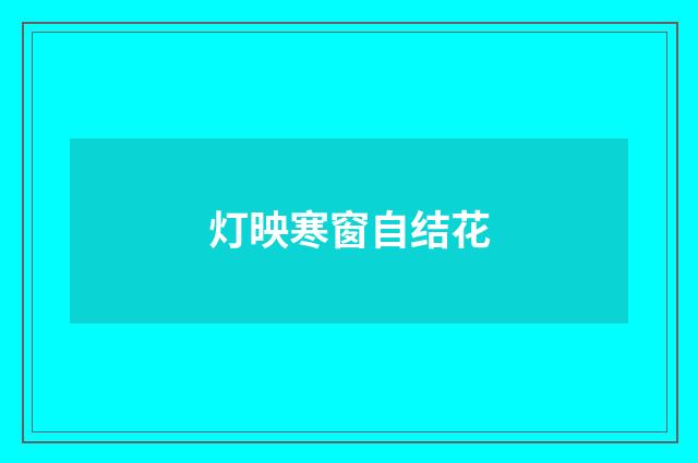 灯映寒窗自结花