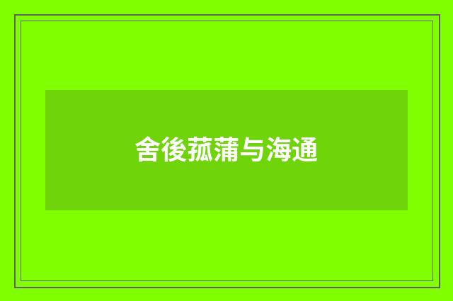 舍後菰蒲与海通