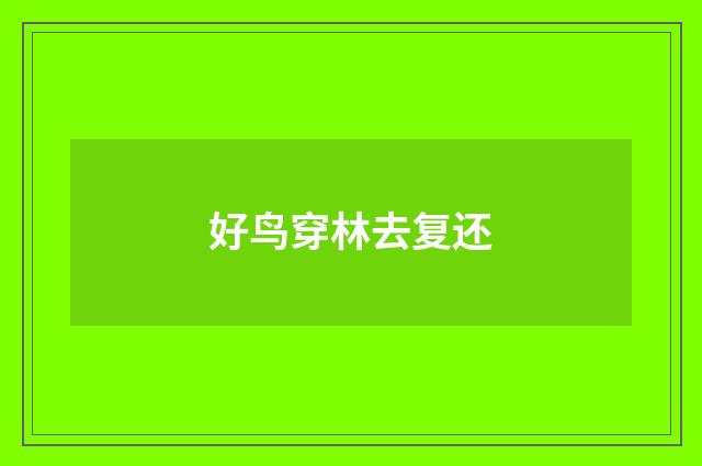 好鸟穿林去复还