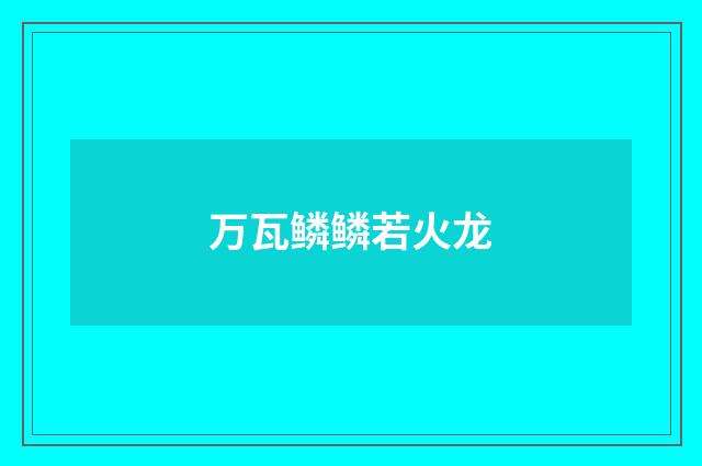 万瓦鳞鳞若火龙