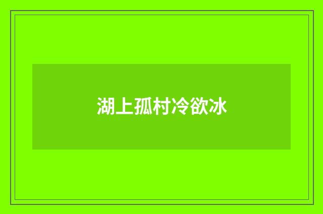 湖上孤村冷欲冰