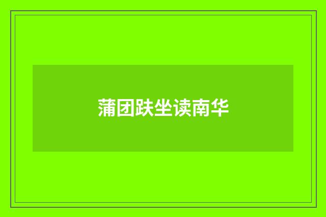 蒲团趺坐读南华