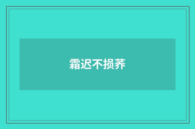 霜迟不损荞
