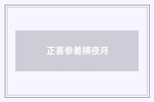 正喜参差横夜月