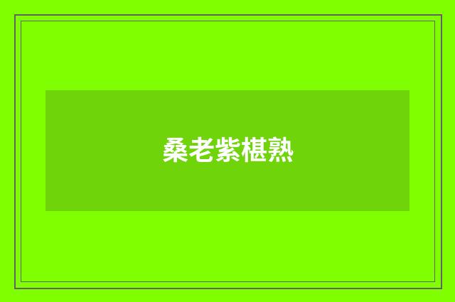 桑老紫椹熟