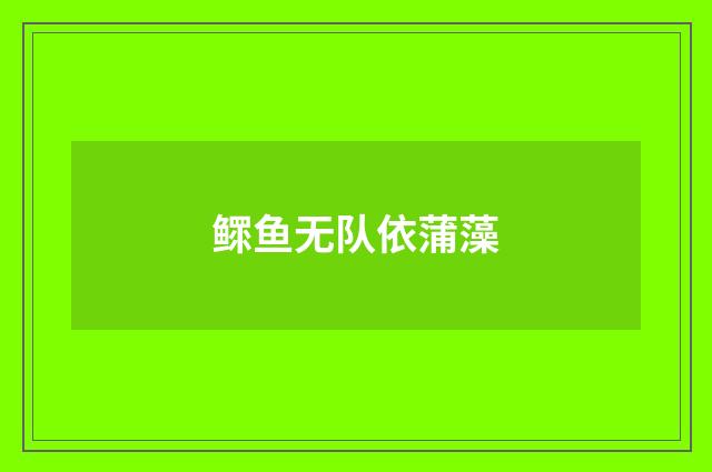 鳏鱼无队依蒲藻