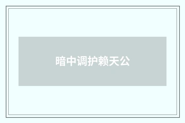 暗中调护赖天公