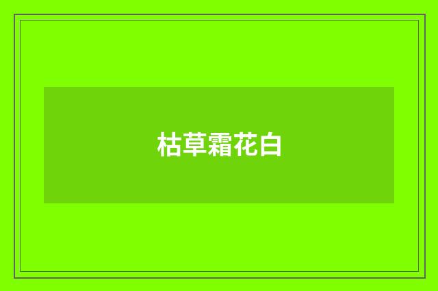 枯草霜花白