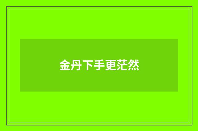 金丹下手更茫然