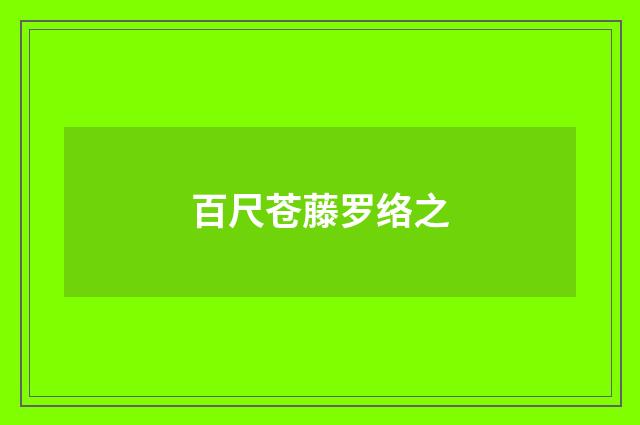 百尺苍藤罗络之