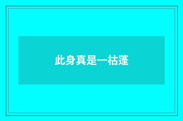此身真是一枯蓬