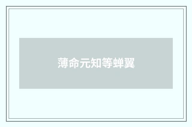 薄命元知等蝉翼