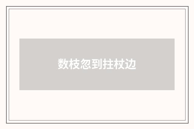 数枝忽到拄杖边