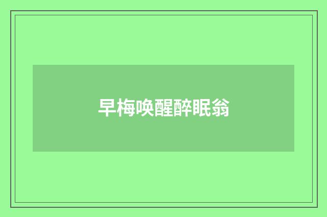 早梅唤醒醉眠翁