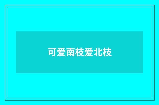 可爱南枝爱北枝