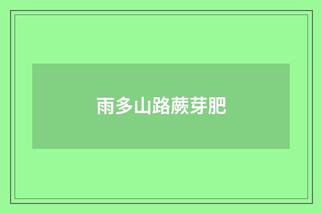 雨多山路蕨芽肥