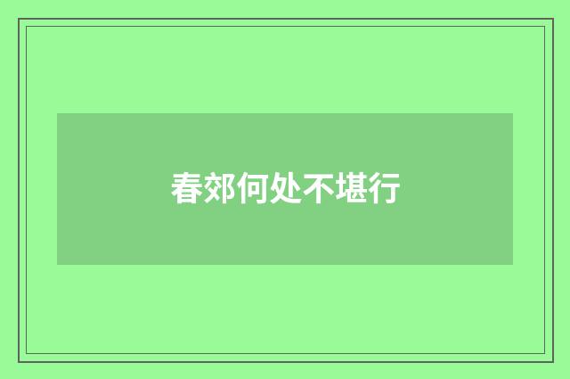 春郊何处不堪行