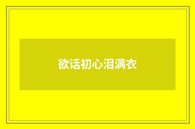 欲话初心泪满衣