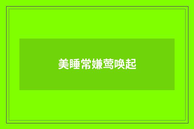 美睡常嫌莺唤起